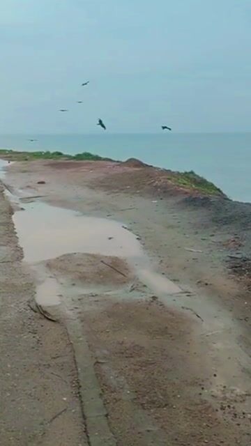 38 Cent Sea View Cliff Plot in North Varkala with Panoramic Arabian Sea Views