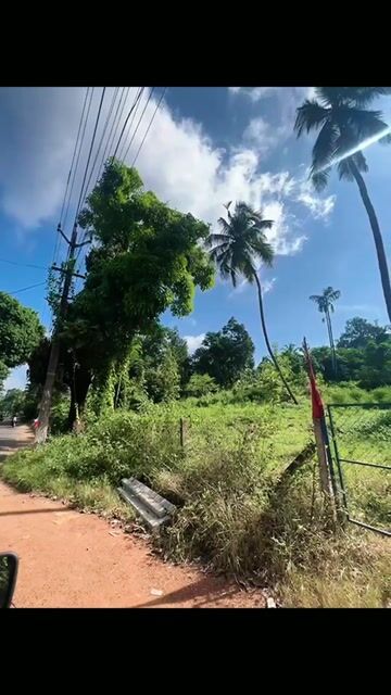 64.75 Cents Plot for Salein Chittanda, Thalassery Road