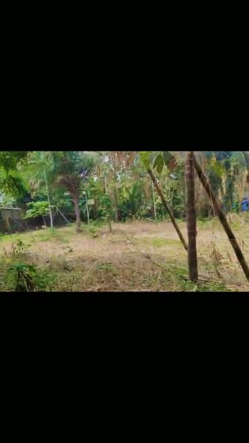 10 Cent Residential Plot in Elookkara, Aluva near Periyar River