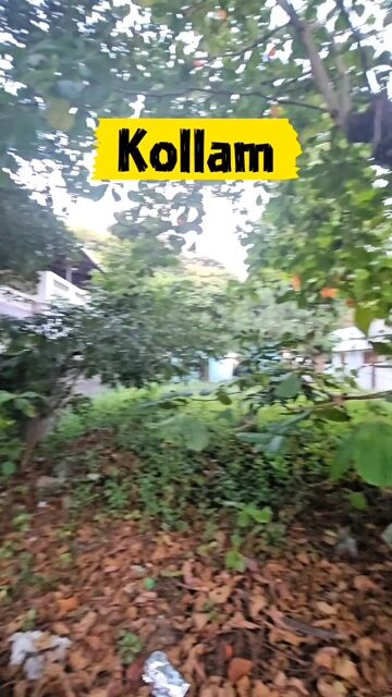 5 cent land for sale in thattamala