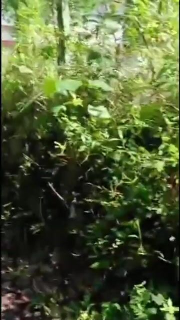 1 Acre 35 Cents Land with Small House for Sale in Aickarakonam, Punalur, Kollam