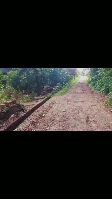 1.56 Acres Land for Sale in Vengola, Ernakulam