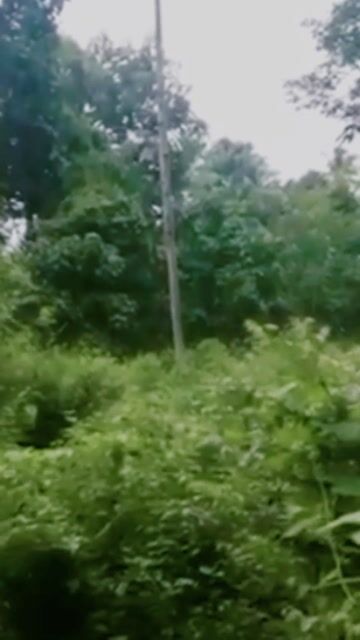 40 cent Plot for Sale in Kaithakuzhy, Kollam