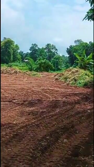 60 Cents of Land for Sale in Kaipattur, Pathanamthitta