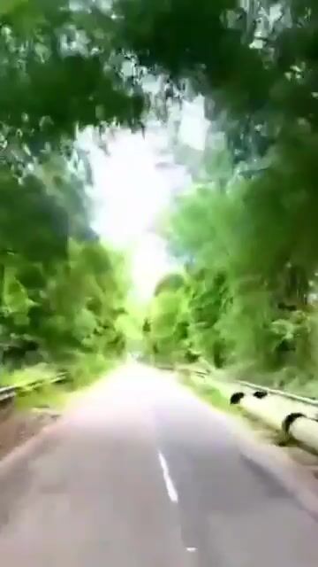 1.29 Acres of Land for Sale in Muppainad Village, Vythiri Taluk, Wayanad