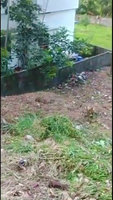 10 Cents of Land for Sale in Netta, Nedumangad