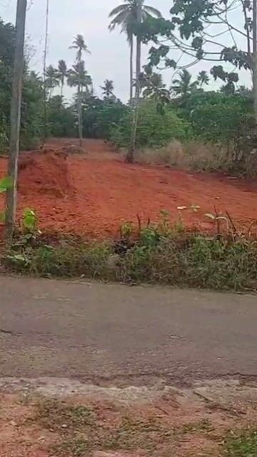 54 cent dry land plot in Village, Alur Panchayat, Thrissur District – ₹94.5 lakh