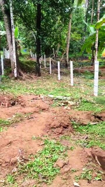 Residential Plot 73 Cents in Kannara, Thrissur