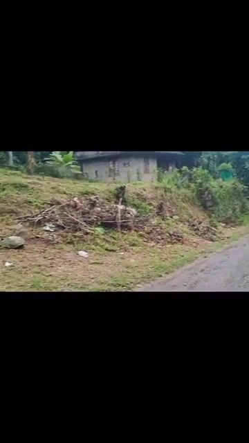 12 Cents of Land for Sale in Nedumangad – Pachamala Route near RC Church
